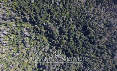 2.000 has. de conservación / reserva natural de alto valor ecológico