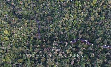 2.000 has. de conservación / reserva natural de alto valor ecológico