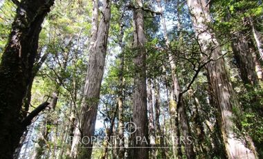 2.000 has. de conservación / reserva natural de alto valor ecológico