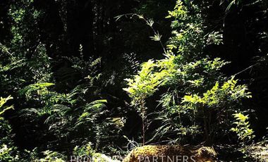 2.000 has. de conservación / reserva natural de alto valor ecológico