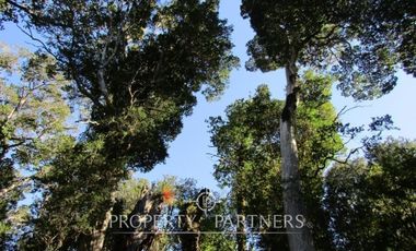 2.000 has. de conservación / reserva natural de alto valor ecológico