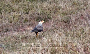 2.000 has. de conservación / reserva natural de alto valor ecológico