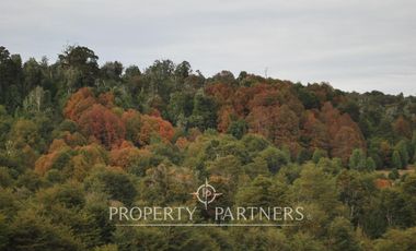 2.000 has. de conservación / reserva natural de alto valor ecológico