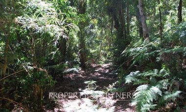 2.000 has. de conservación / reserva natural de alto valor ecológico