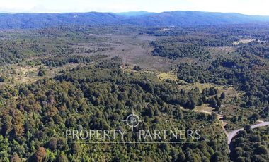 2.000 has. de conservación / reserva natural de alto valor ecológico