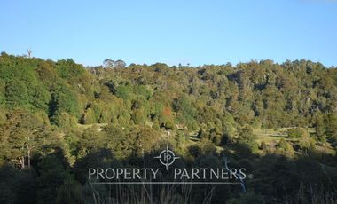 2.000 has. de conservación / reserva natural de alto valor ecológico