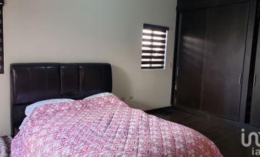 CASA EN RENTA UNA PLANTA, PUERTA DE ALCALA, MEXICALI