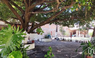 Casa en venta, amplio terreno con arboles frutales, zona centro en Puente de Ixtla Morelos.