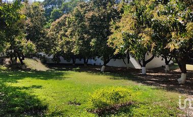 Casa en venta, amplio terreno con arboles frutales, zona centro en Puente de Ixtla Morelos.