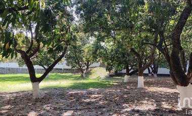 Casa en venta, amplio terreno con arboles frutales, zona centro en Puente de Ixtla Morelos.