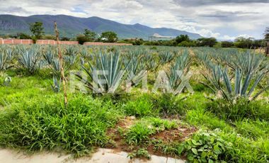 TERRENO EN VENTA EN SAN FRANCISCO LACHIGOLÓ - (3)