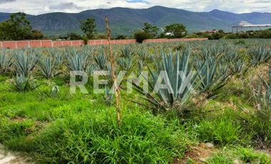 TERRENO EN VENTA EN SAN FRANCISCO LACHIGOLÓ - (3)