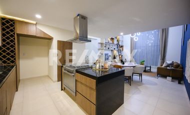 Puerta Centro Acueducto R2 - (3)