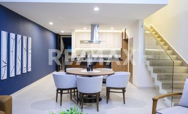 Puerta Centro Acueducto R2 - (3)