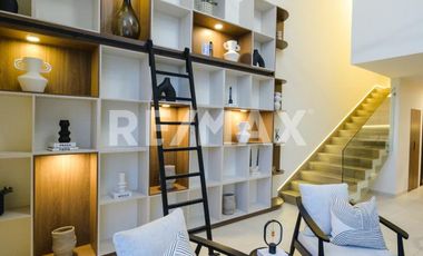 Puerta Centro Acueducto R2 - (3)