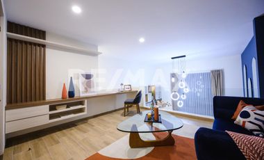 Puerta Centro Acueducto R2 - (3)