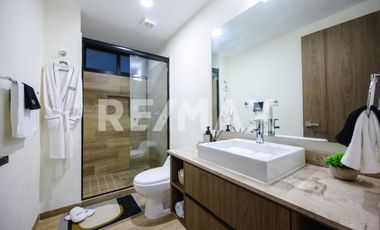 Puerta Centro Acueducto R2 - (3)