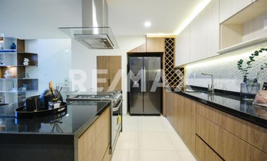 Puerta Centro Acueducto R2 - (3)