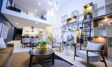 Puerta Centro Acueducto R2 - (3)