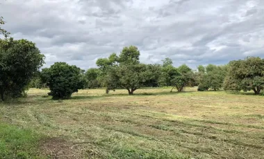 Land for sale in Nam Phrae, Chiang Mai