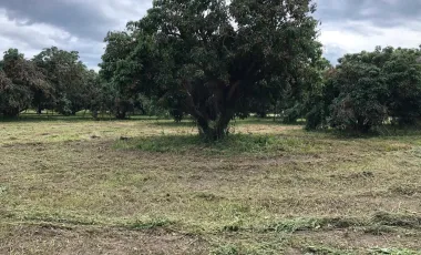 Land for sale in Nam Phrae, Chiang Mai
