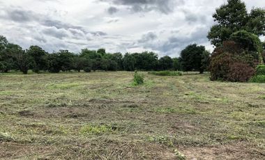 Land for sale in Nam Phrae, Chiang Mai