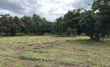 Land for sale in Nam Phrae, Chiang Mai