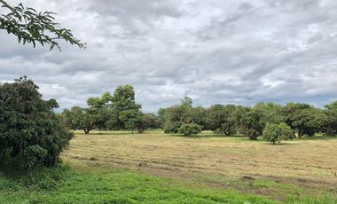 Land for sale in Nam Phrae, Chiang Mai