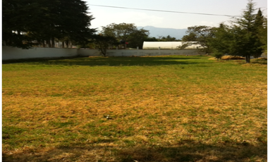 Rancho en venta. En Zacango Estado de Mexico