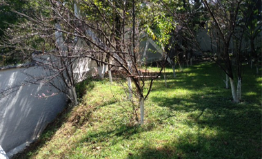 Rancho en venta. En Zacango Estado de Mexico