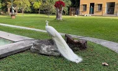 Hotel Rancho Tierra Prometida