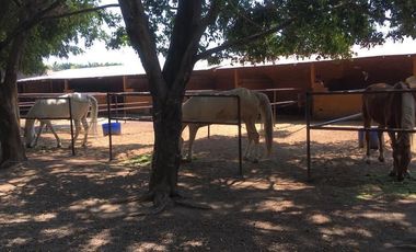 Hotel Rancho Tierra Prometida