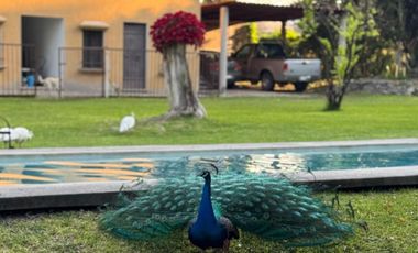 Hotel Rancho Tierra Prometida