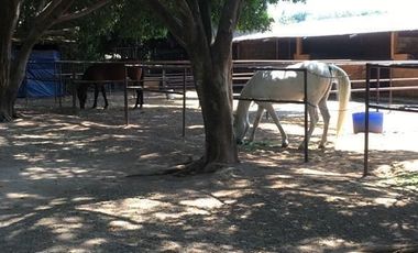 Hotel Rancho Tierra Prometida