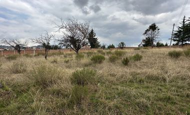 TERRENO EN VENTA EN ALMOLOYA DE JUAREZ BARDEADO