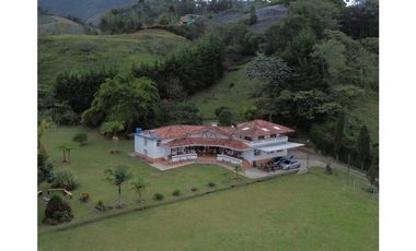 FINCA EN LA CEJA LOTE PLANO A 3 KILOMETROS DEL PARQUE SECTOR ALCALA