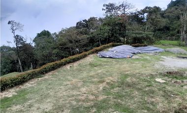 VENTA CASA Y LOTE EN NORTEAMERICA BELLO