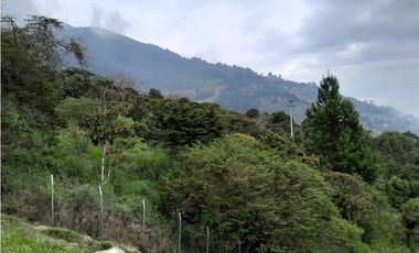 VENTA CASA Y LOTE EN NORTEAMERICA BELLO