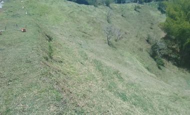 Lote En Venta - Vereda El Pozo, Marinilla - Antioquia