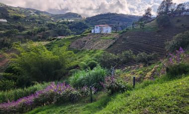 Lote En Venta - Vereda El Pozo, Marinilla - Antioquia