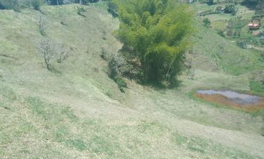 Lote En Venta - Vereda El Pozo, Marinilla - Antioquia