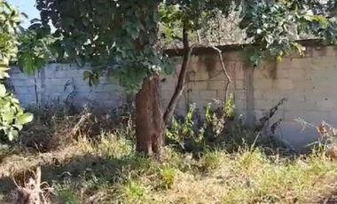 Venta Terreno en Centro de Jiutepec, Morelos