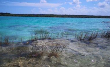 VENTA TERRENO BACALAR CON ACCESO A LAGUNA
