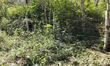 VENTA DE TERRENO EN BACALAR CON FRENTE DE CARRETERA