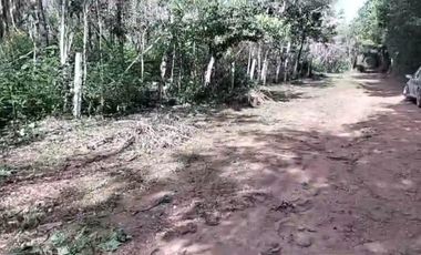 VENTA DE TERRENO EN BACALAR CON FRENTE DE CARRETERA