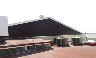 Nave Industrial en Los Reyes
