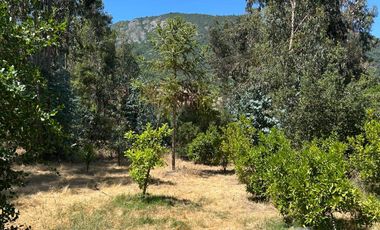 Sector Idahuillo  -  Coltauco