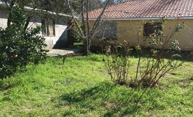 Cancha de Almendro  -  Coltauco
