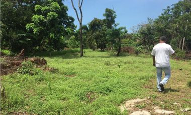 VENTA DE LOTE EN EL SECTOR EL COCO - LA CHORRERA