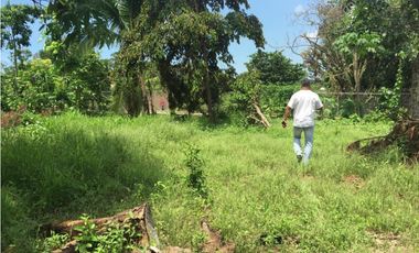 VENTA DE LOTE EN EL SECTOR EL COCO - LA CHORRERA